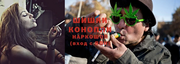 МДПВ Новозыбков