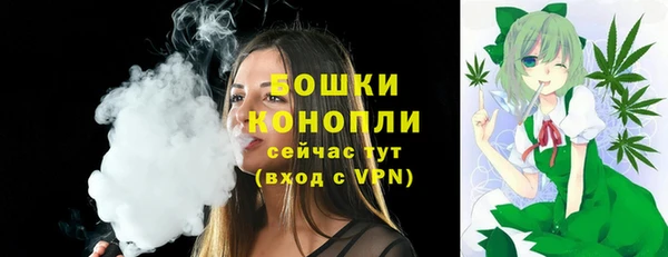 твердый Новокубанск