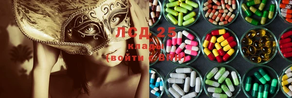 МДПВ Новозыбков