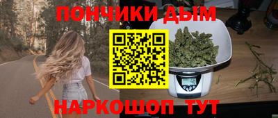 крисы Гагарин
