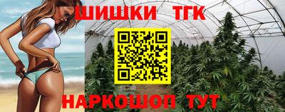 крисы Гагарин
