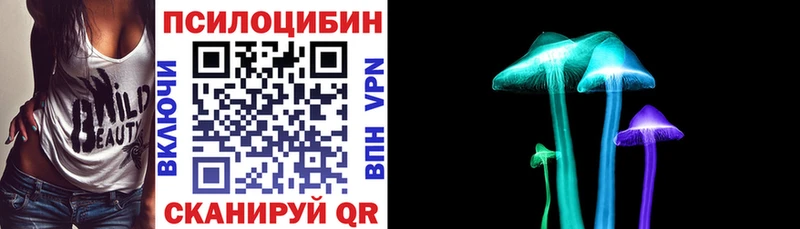закладка  Старая Русса  Галлюциногенные грибы MAGIC MUSHROOMS 