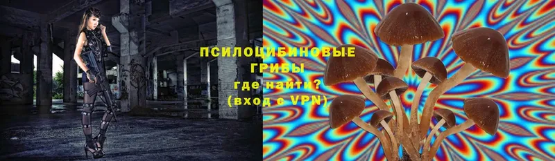 omg сайт  Старая Русса  Псилоцибиновые грибы прущие грибы 