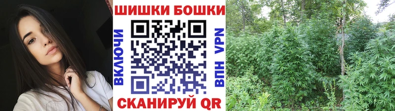 Бошки Шишки гибрид  Старая Русса 